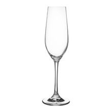 Manhattan 230ml Champagne Flutes (Set of 6)